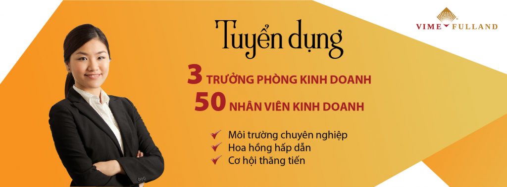 Vimefulland tuyển dụng trưởng phòng kinh doanh Bất động sản